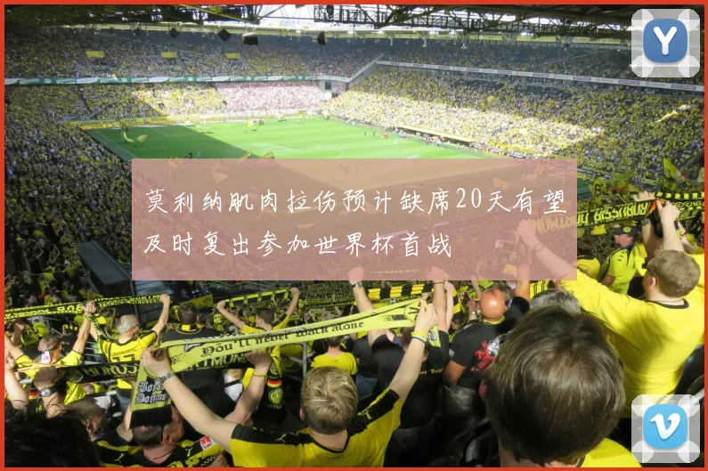 莫利纳肌肉拉伤预计缺席20天有望及时复出参加世界杯首战